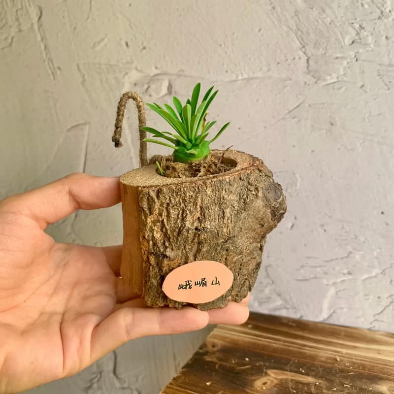 手工木作設計 盆栽擺飾 多肉植物 峨嵋山