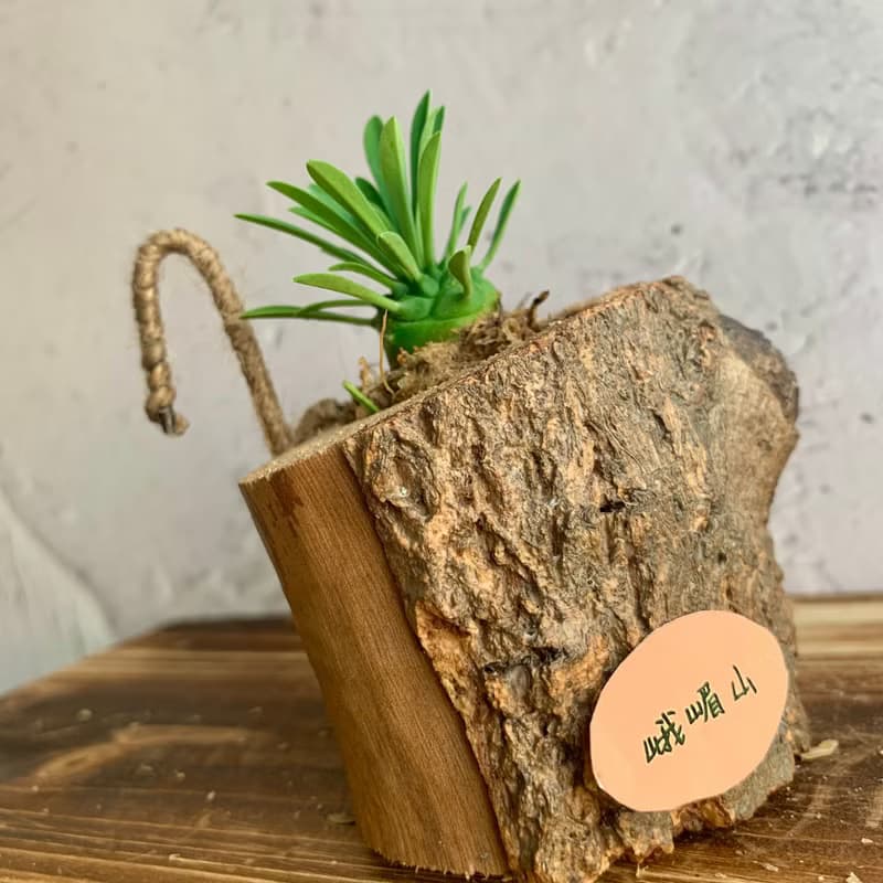 手工木作設計 盆栽擺飾 多肉植物 峨嵋山