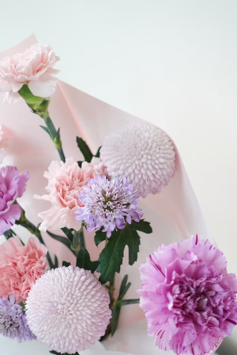 2025母親節花束 康乃馨 禮物 花籃