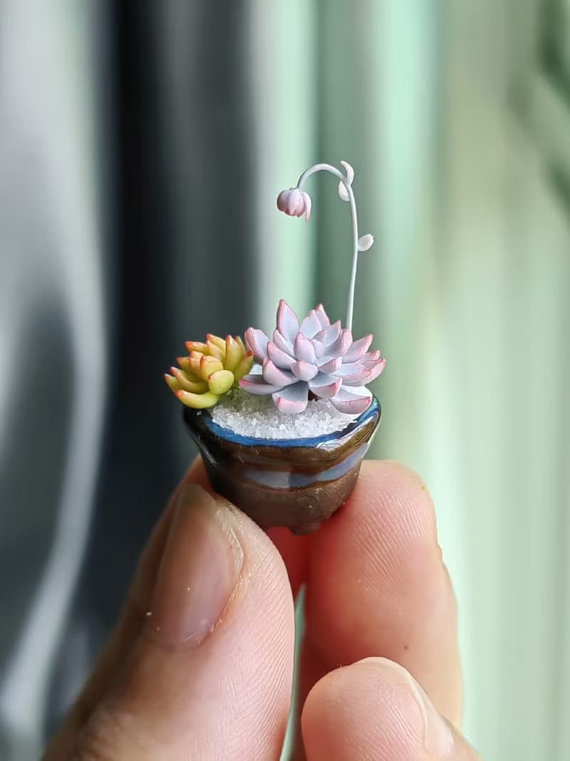 微縮黏土毛漢尼石蓮花多肉盆栽