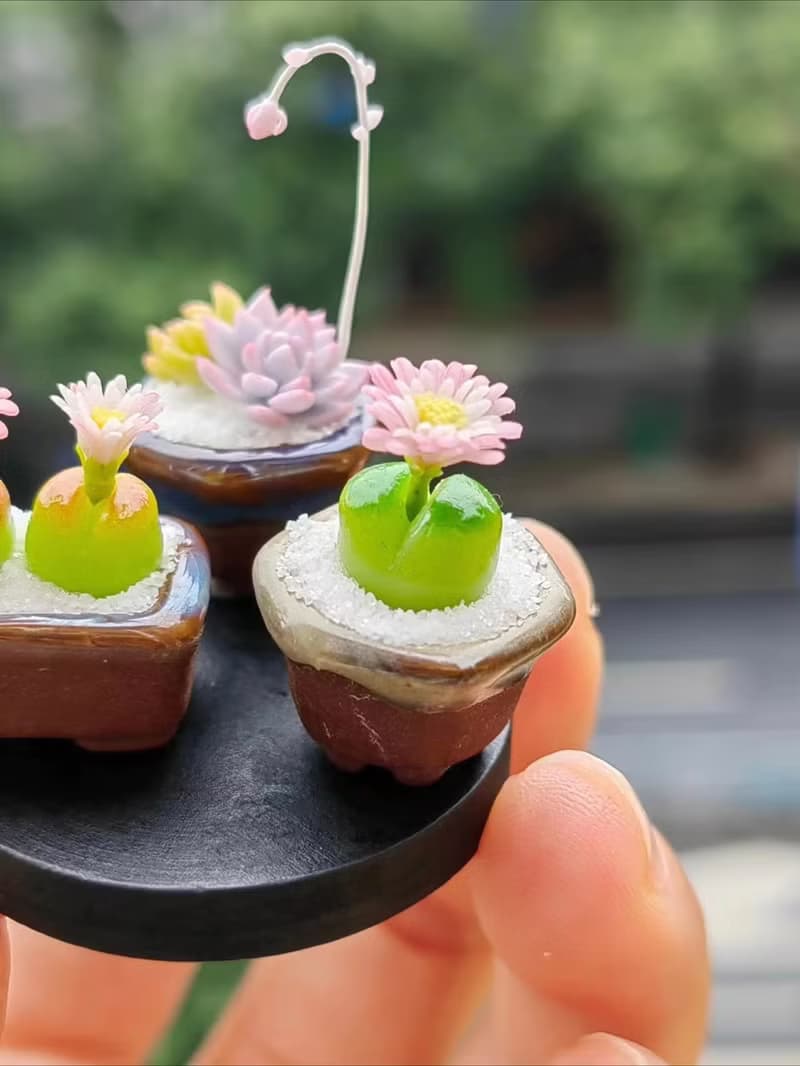 微縮黏土毛漢尼石蓮花多肉盆栽