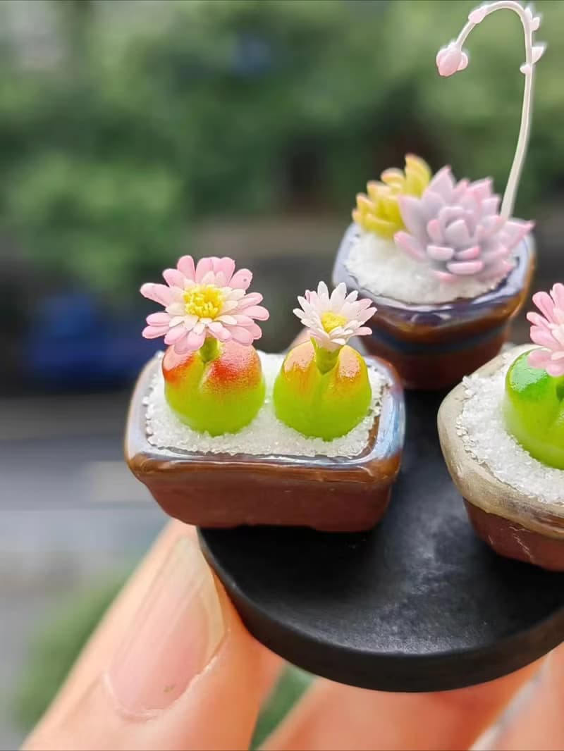 微縮黏土毛漢尼石蓮花多肉盆栽