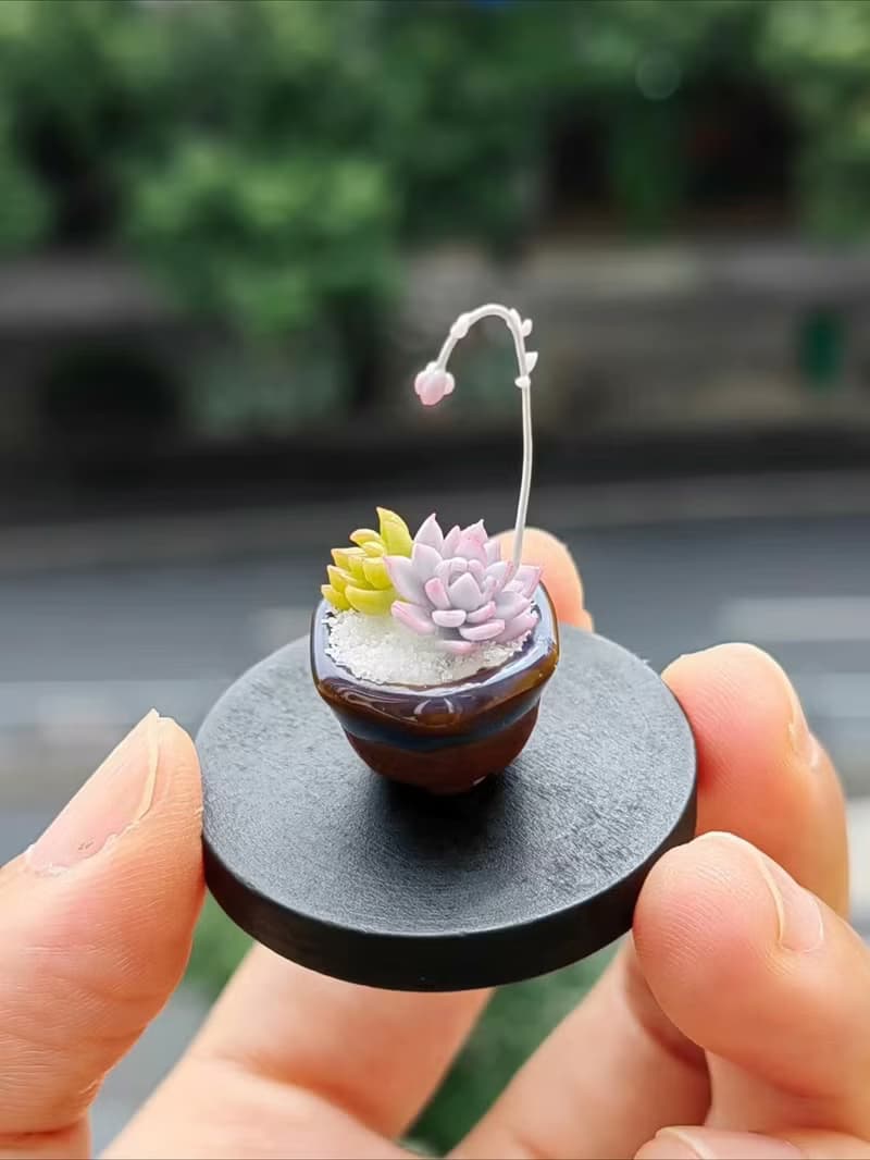 微縮黏土毛漢尼石蓮花多肉盆栽