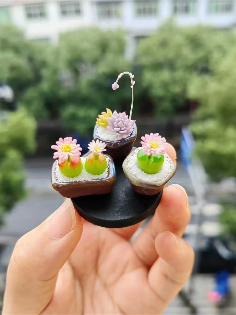 微縮黏土毛漢尼石蓮花多肉盆栽
