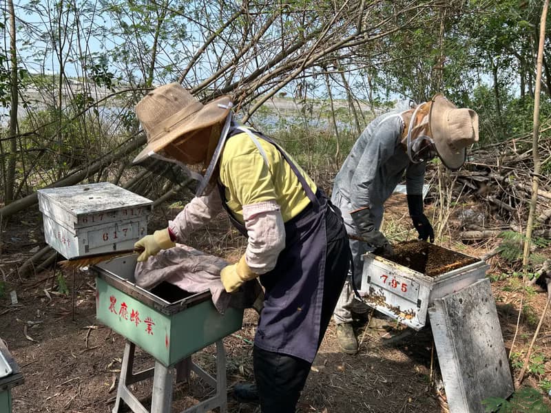 100%台灣純龍眼蜂蜜-熊好蜜系列(獲選2024台灣燈會農特產伴手禮)