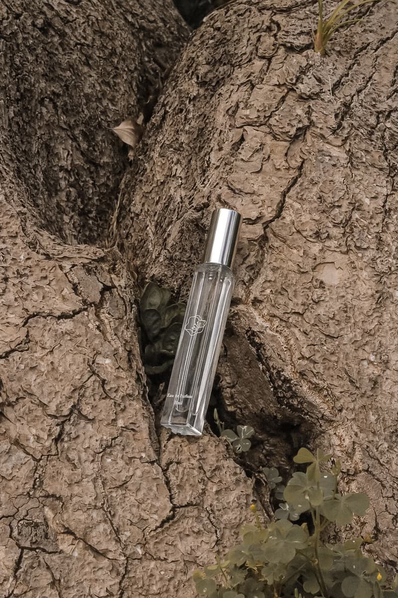 【 氣味周邊 】瀑布森林山韻香水