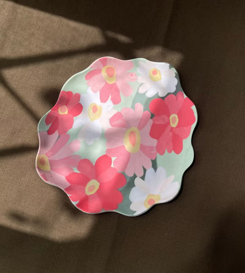 百日草大淺盤系列