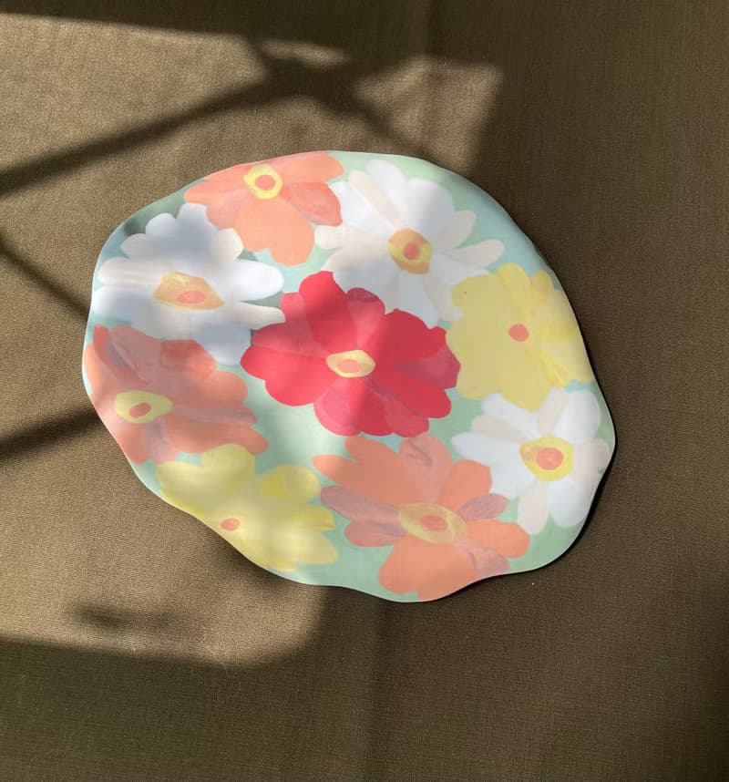 百日草大淺盤系列
