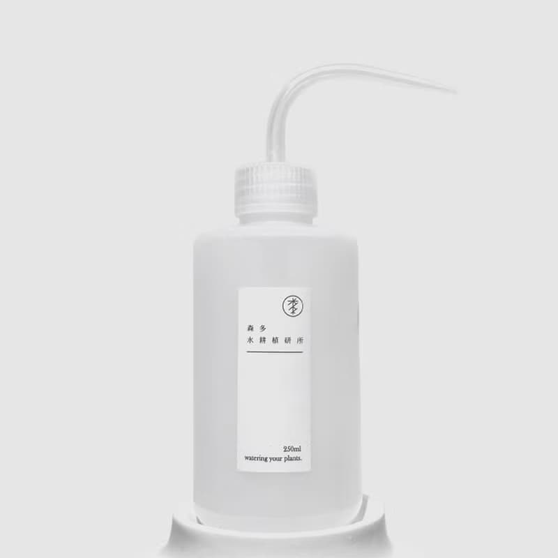 │ 窯瓷系列 │ 絨葉鳳梨 -  風水招財 瓷器 水耕盆栽 自動喝水