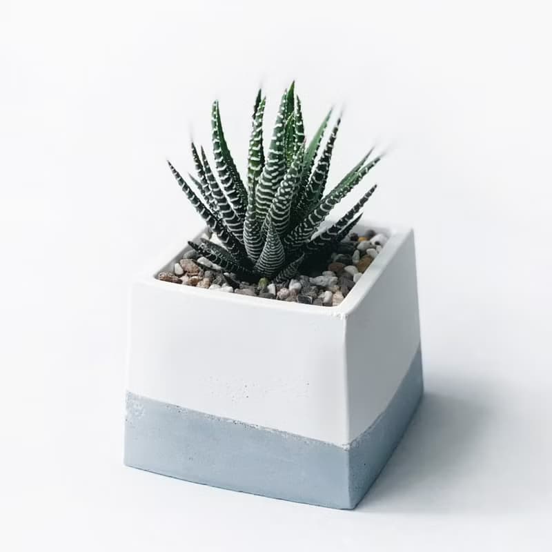 (現貨) 莫蘭迪藍系列 | 十二之卷-方形漸層水泥多肉植栽