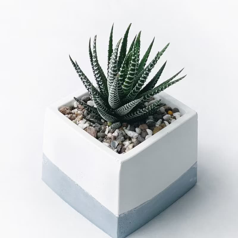 (現貨) 莫蘭迪藍系列 | 十二之卷-方形漸層水泥多肉植栽