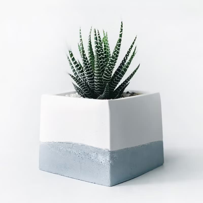 (現貨) 莫蘭迪藍系列 | 十二之卷-方形漸層水泥多肉植栽