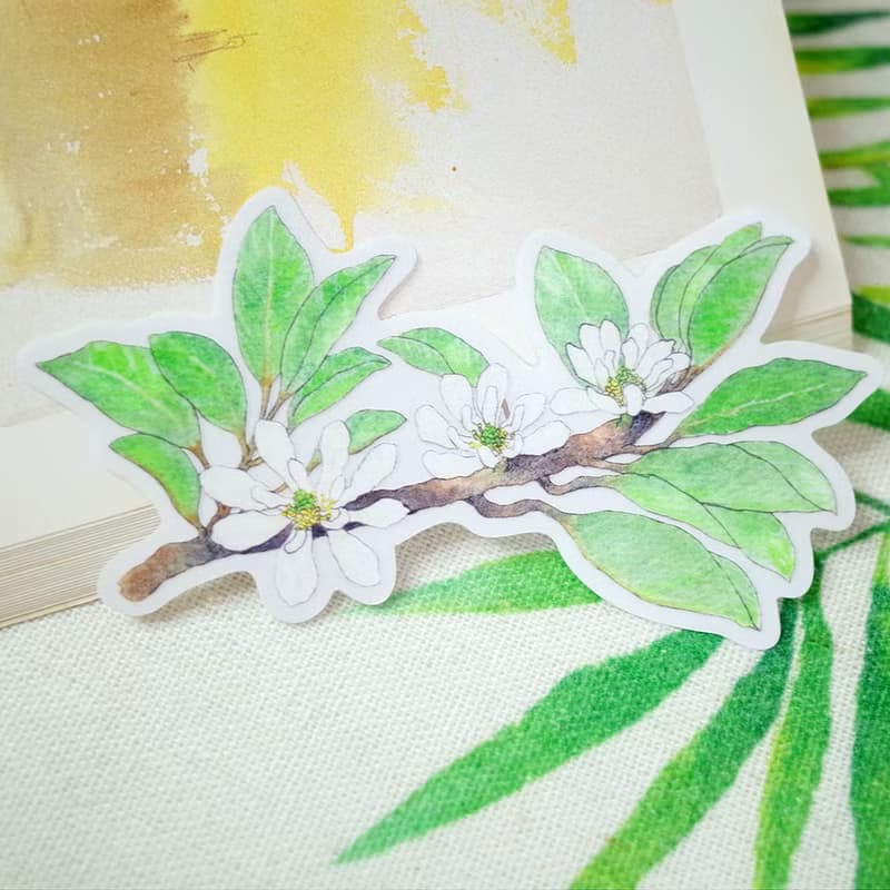 臺灣特有亞種 蘭嶼烏心石 繪畫防水PVC白墨底大貼紙