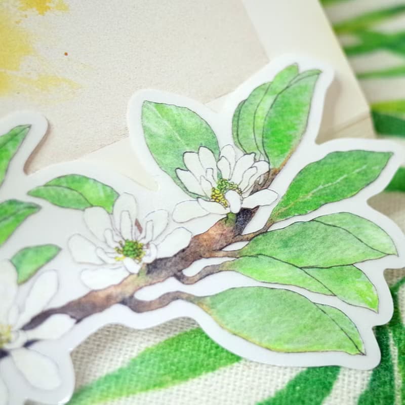 臺灣特有亞種 蘭嶼烏心石 繪畫防水PVC白墨底大貼紙