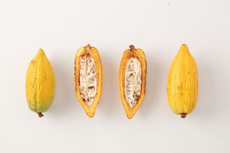 丞羽莊園-莊園直送24入黑巧克力75%、85%、100%(無添加乳製品)