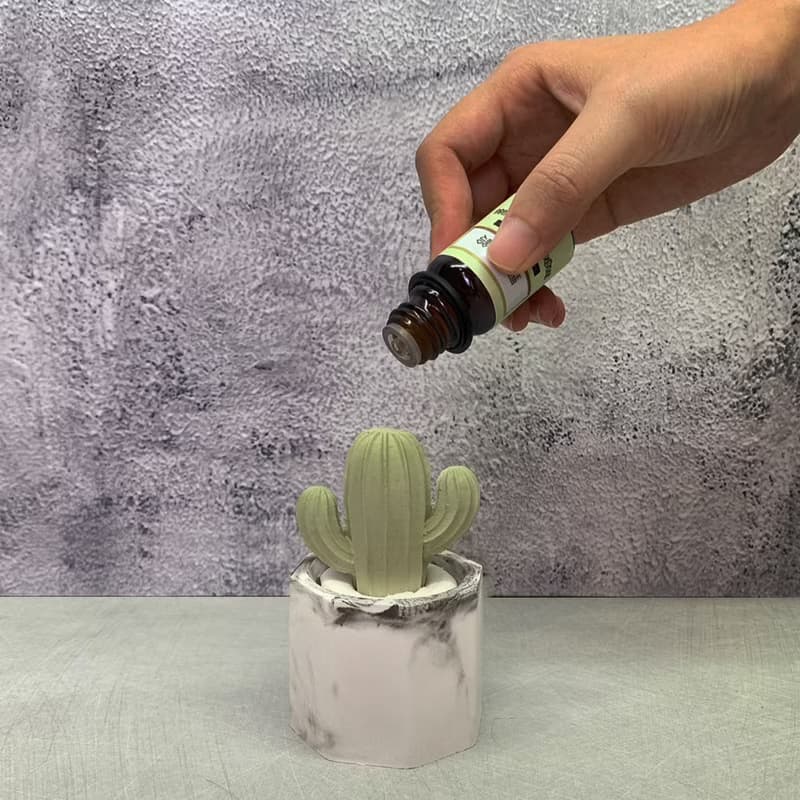 手作仙人掌盆栽擴香石 | 送5mL精油 | 婚禮小物 | 新春禮物