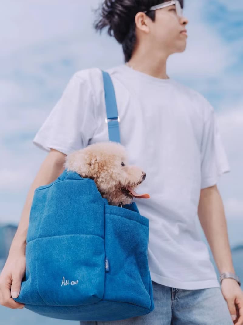 AU-au! Fonny Bubble Bag_寵物包_媽媽包_工作包_旅行包