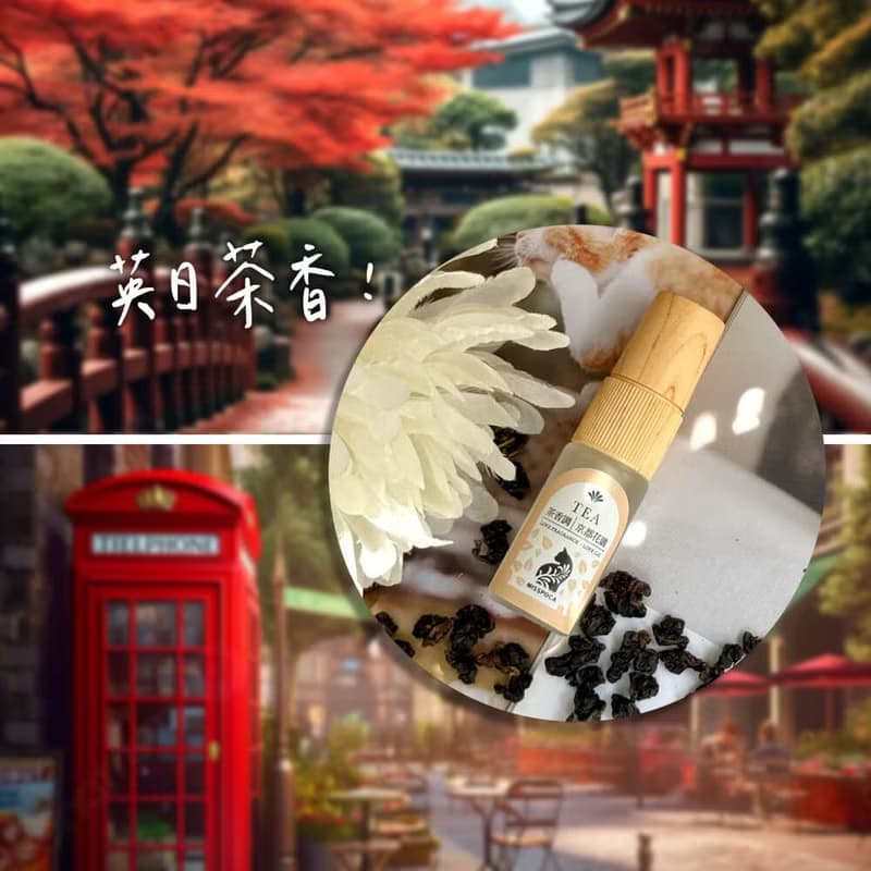 【免運 贈寵物友善香氛】旅行貓雙拼微景擴香７件組禮盒