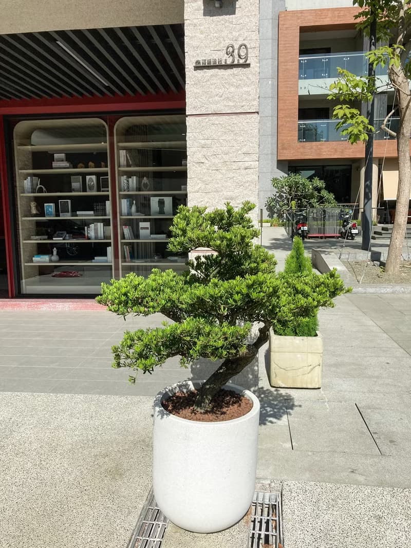 【商業空間綠化設計】咖啡廳室內外植栽 | 中式古典風格