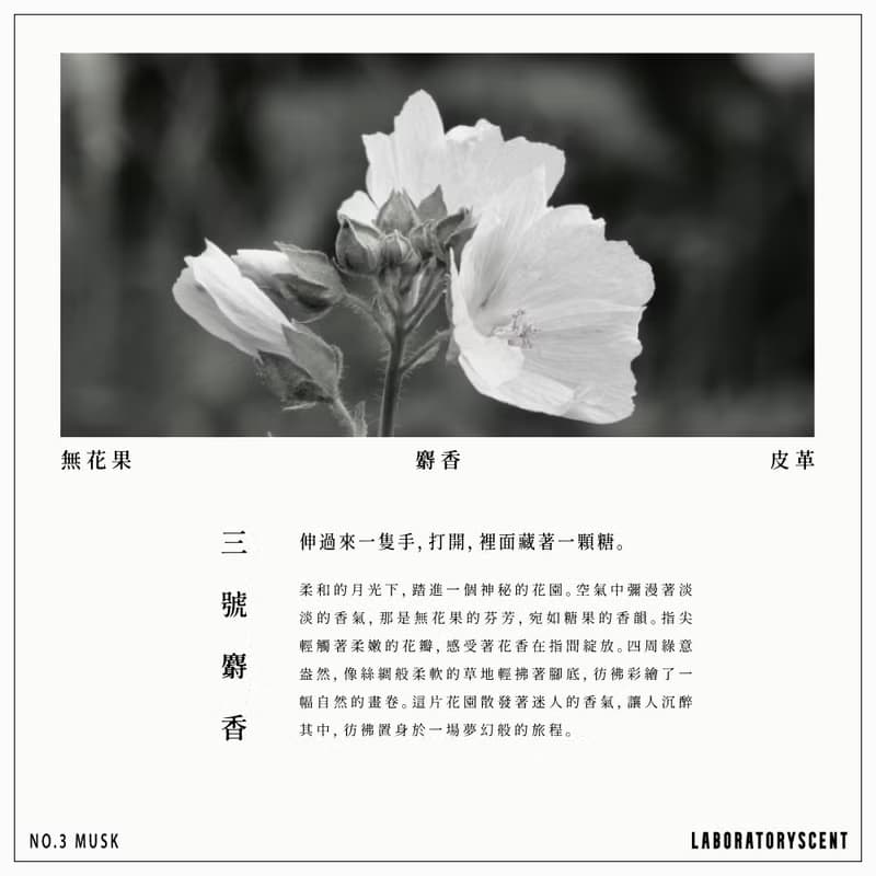 Laboratoryscent實驗系列擴香-三號麝香