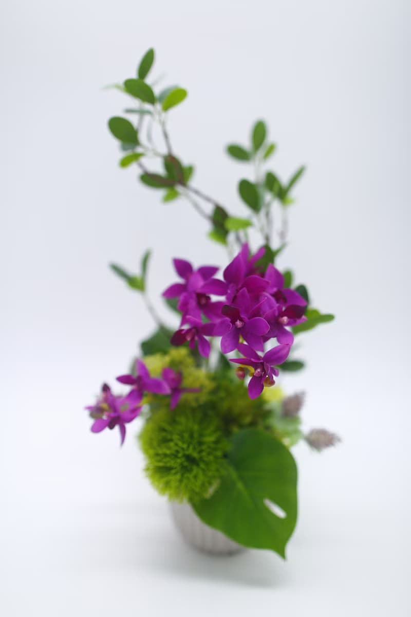 雅緻桃紅蝴蝶蘭榕枝香氛花禮/擬真植物/人造盆栽/綠化/佈置/禮物