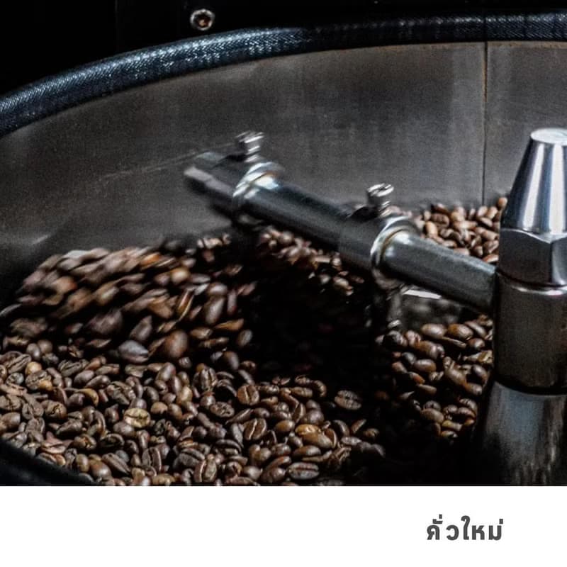 GRAPH |เมล็ดกาแฟ SIGNATURE BLEND -FRUITY FINE SET -ORANGE CHOCOLATE COOKIE 500g.