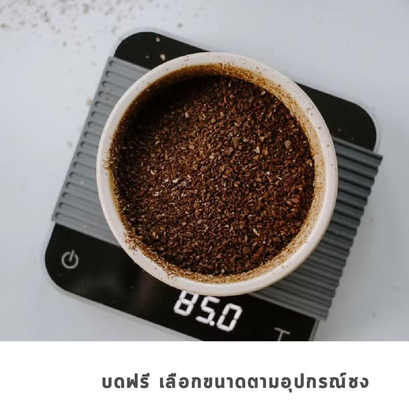 GRAPH |เมล็ดกาแฟ SIGNATURE BLEND -FRUITY FINE SET -ORANGE CHOCOLATE COOKIE 500g.