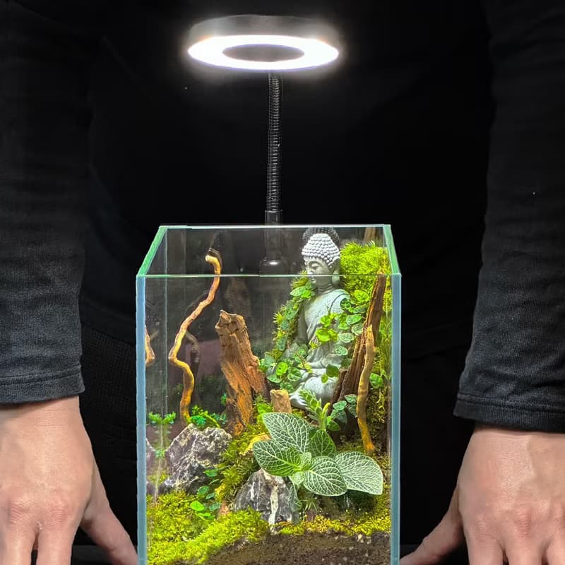 生態缸全光譜植物燈