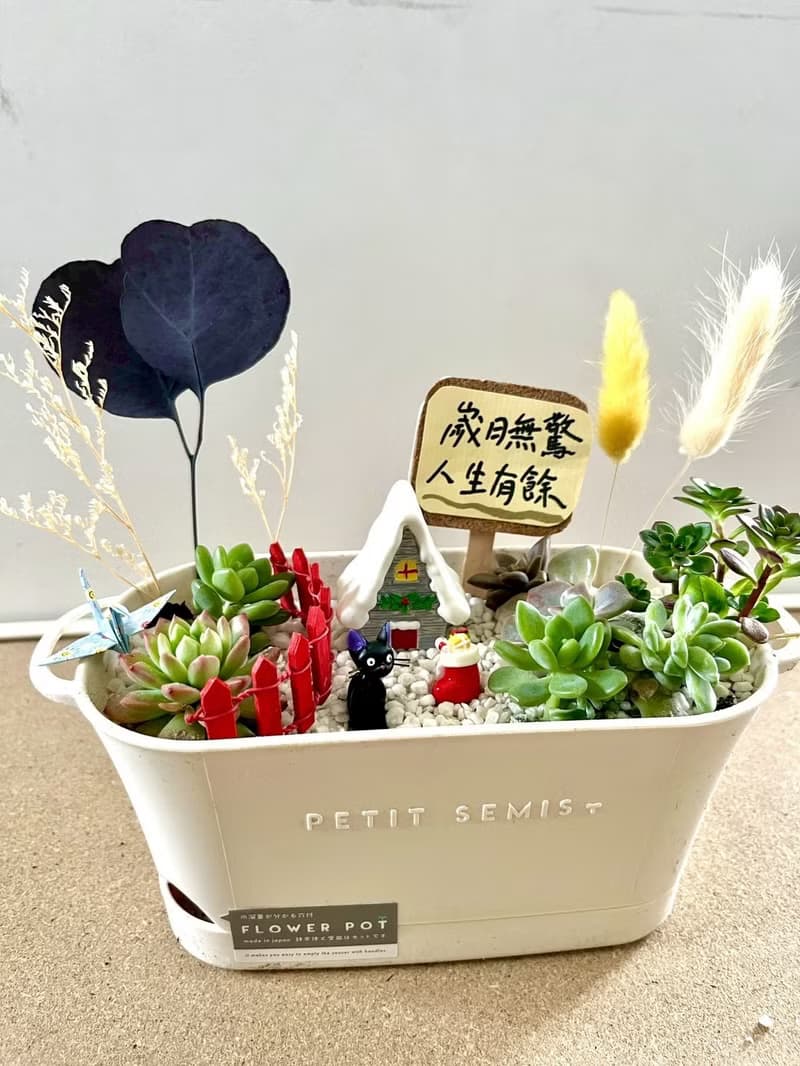 多肉組盆 多肉植物 吉卜力 魔女宅急便 吉吉 ジジ 黑貓 植物盆栽
