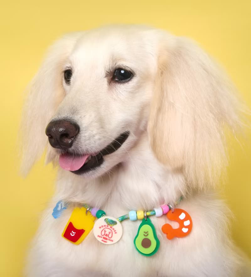 Doggu Customised i.d. Necklace w/extra CHARMS