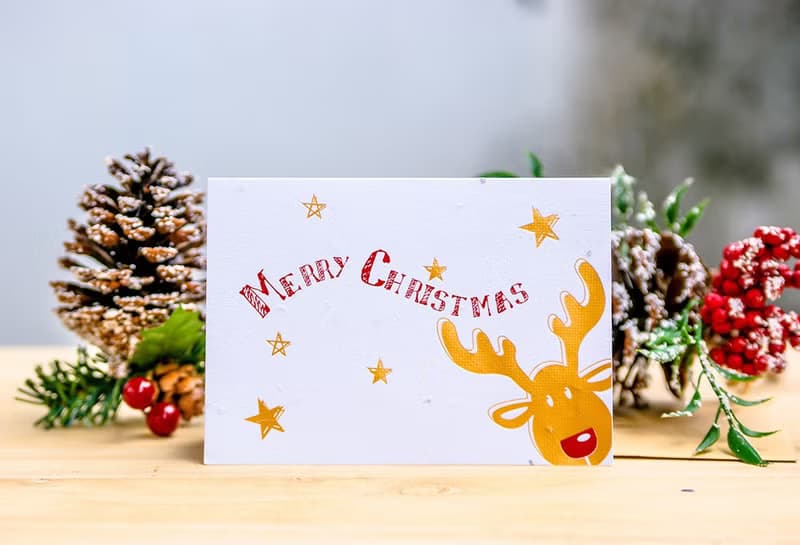 【聖誕節】種子紙聖誕卡片 (紅鼻子麋鹿 Red nose Moose)
