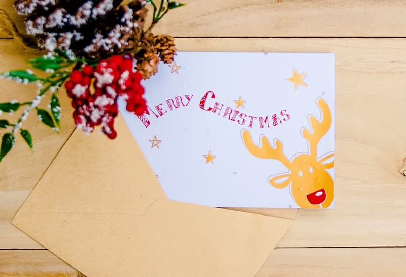 【聖誕節】種子紙聖誕卡片 (紅鼻子麋鹿 Red nose Moose)