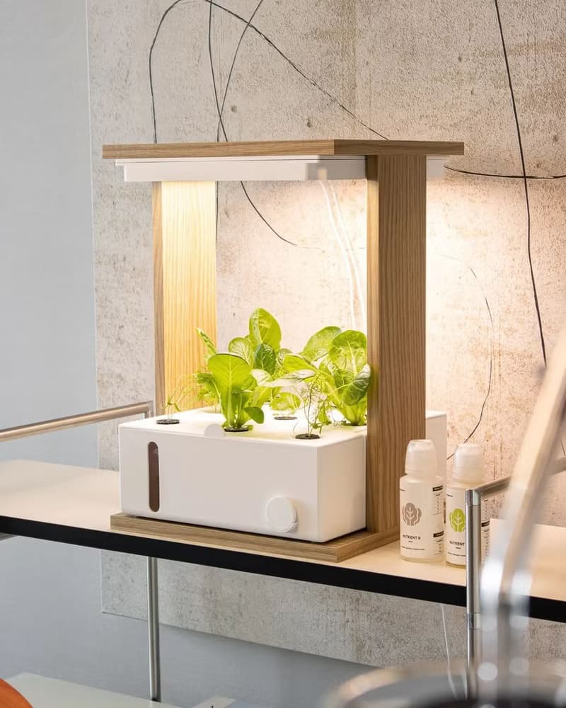桌上型水耕種菜機 在家自種香草沙律菜 母親節家電