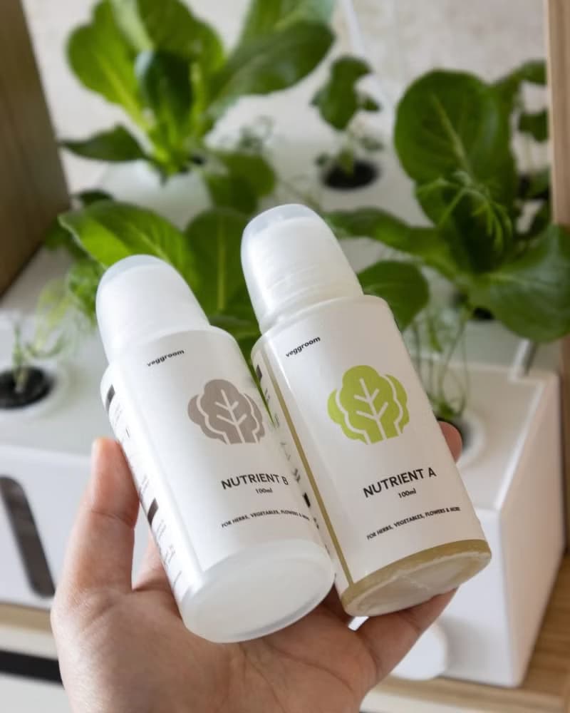 桌上型水耕種菜機 在家自種香草沙律菜 母親節家電