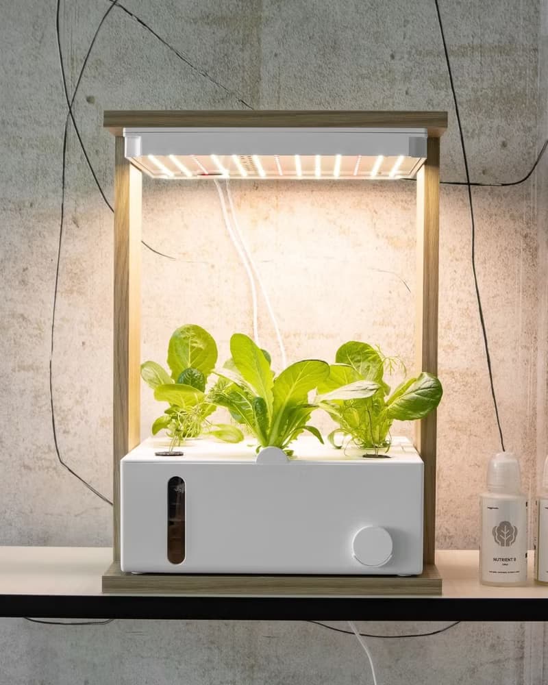 桌上型水耕種菜機 在家自種香草沙律菜 母親節家電
