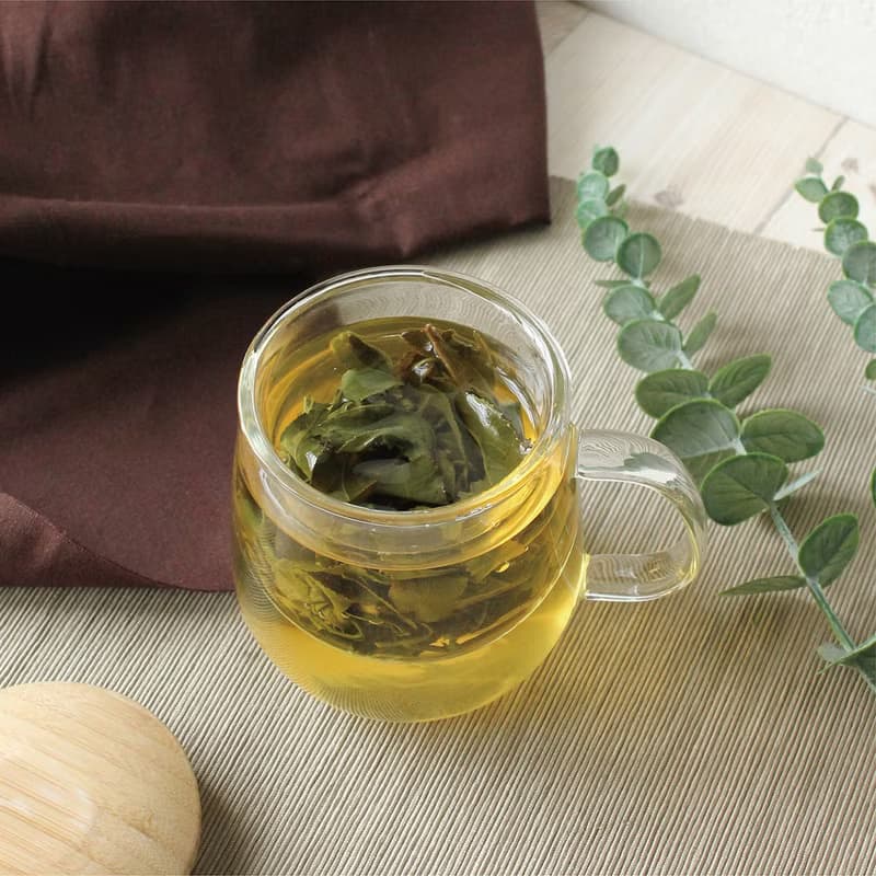 日式簡約愜意獨享杯 | 辦公室茶杯 | 玻璃杯 | 簡約茶杯 | 500CC