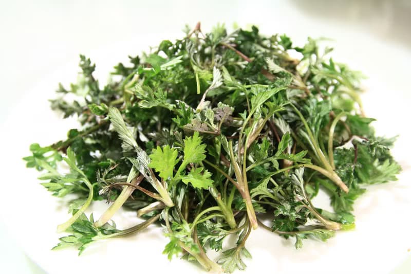 艾草單方精油(無毒農法)