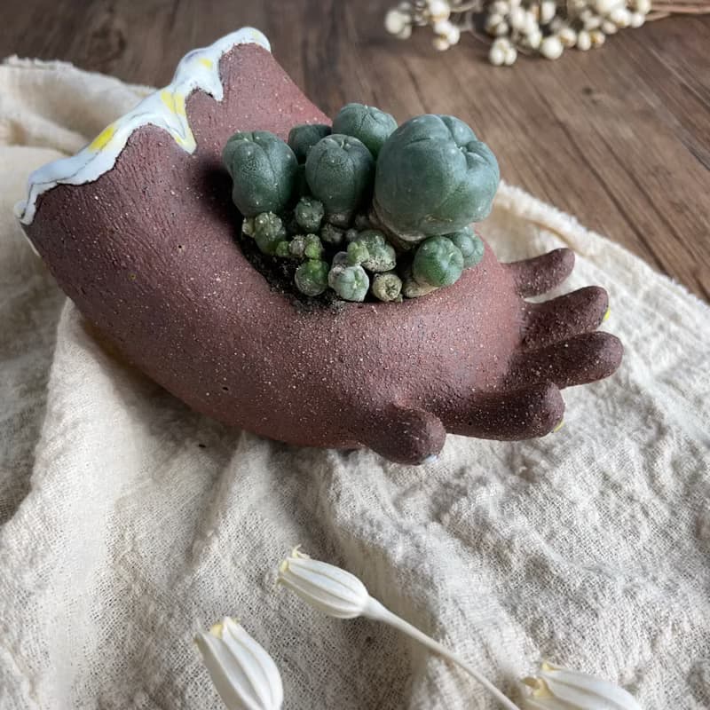 握握小手多肉植物盆栽花器