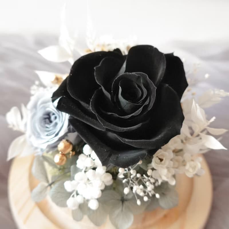 永生花玻璃盅-神秘黑