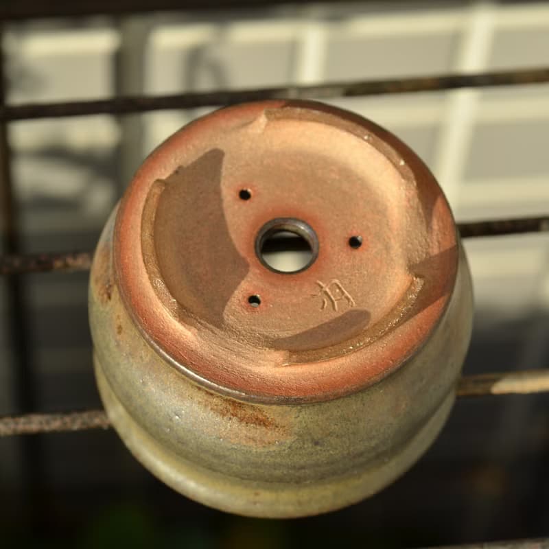 陶盆 | 驚濤