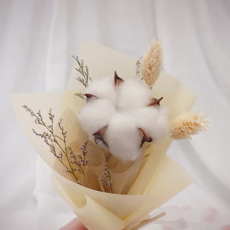棉花畢業花束 /畢業花束/永生花/乾燥花束/棉花/花束