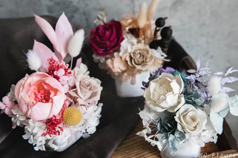 永生花盆花/永生花桌花/永生花禮/生日禮物/不凋花禮/開店送禮 花