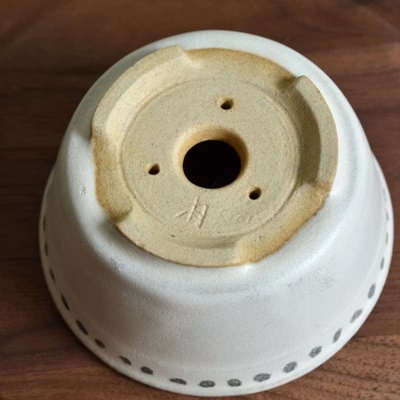 陶盆 | 灰點點