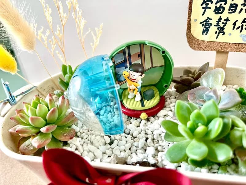 多肉組盆 多肉植物 日式枯山水 多啦A夢 大雄 小叮噹 植物盆栽