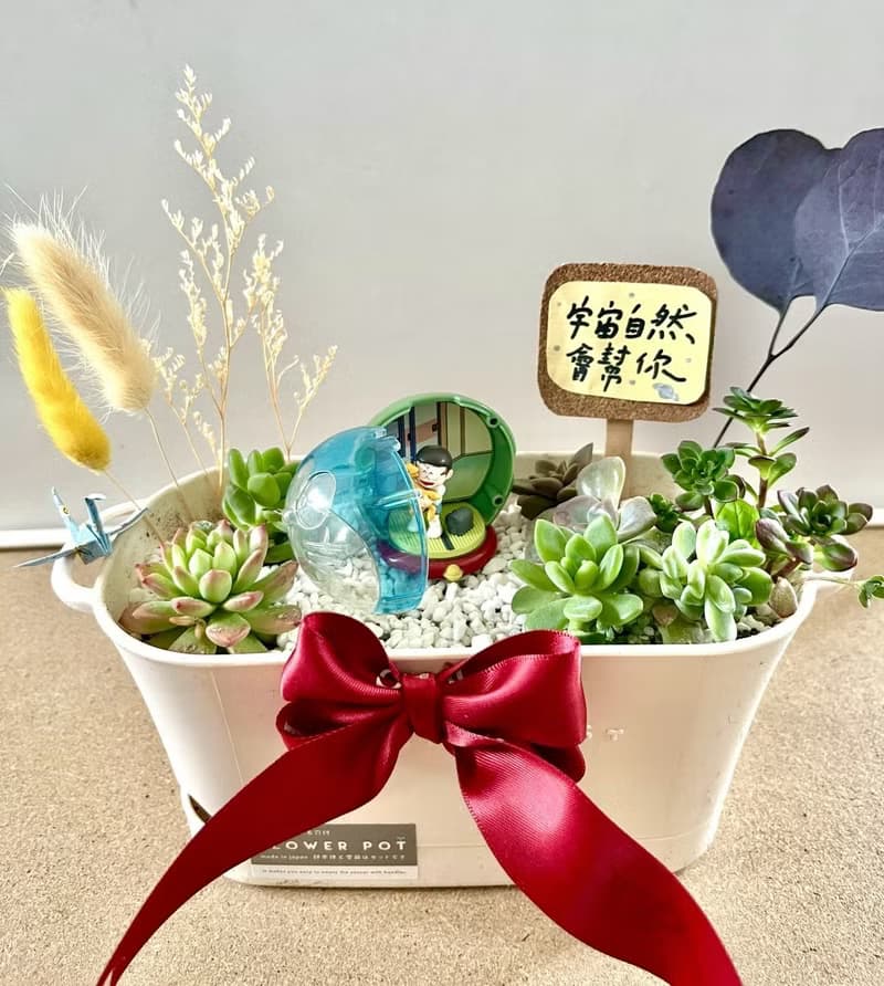 多肉組盆 多肉植物 日式枯山水 多啦A夢 大雄 小叮噹 植物盆栽