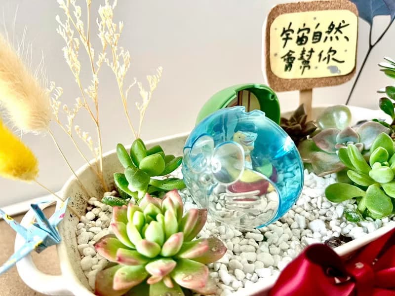 多肉組盆 多肉植物 日式枯山水 多啦A夢 大雄 小叮噹 植物盆栽