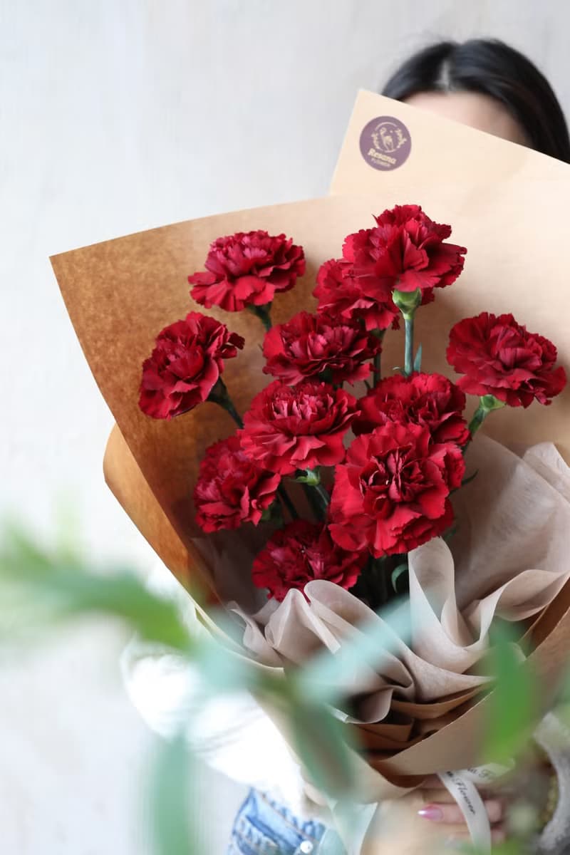 深紅康乃馨鮮花束 2025母親節