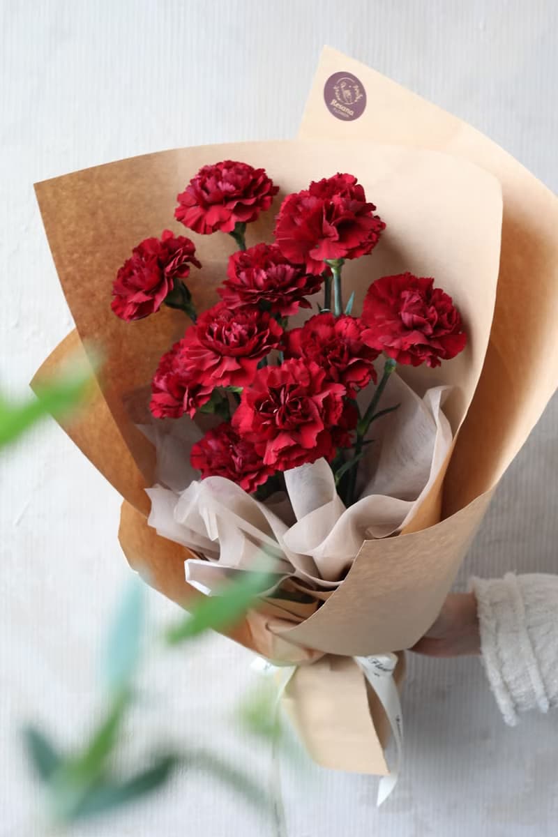 深紅康乃馨鮮花束 2025母親節