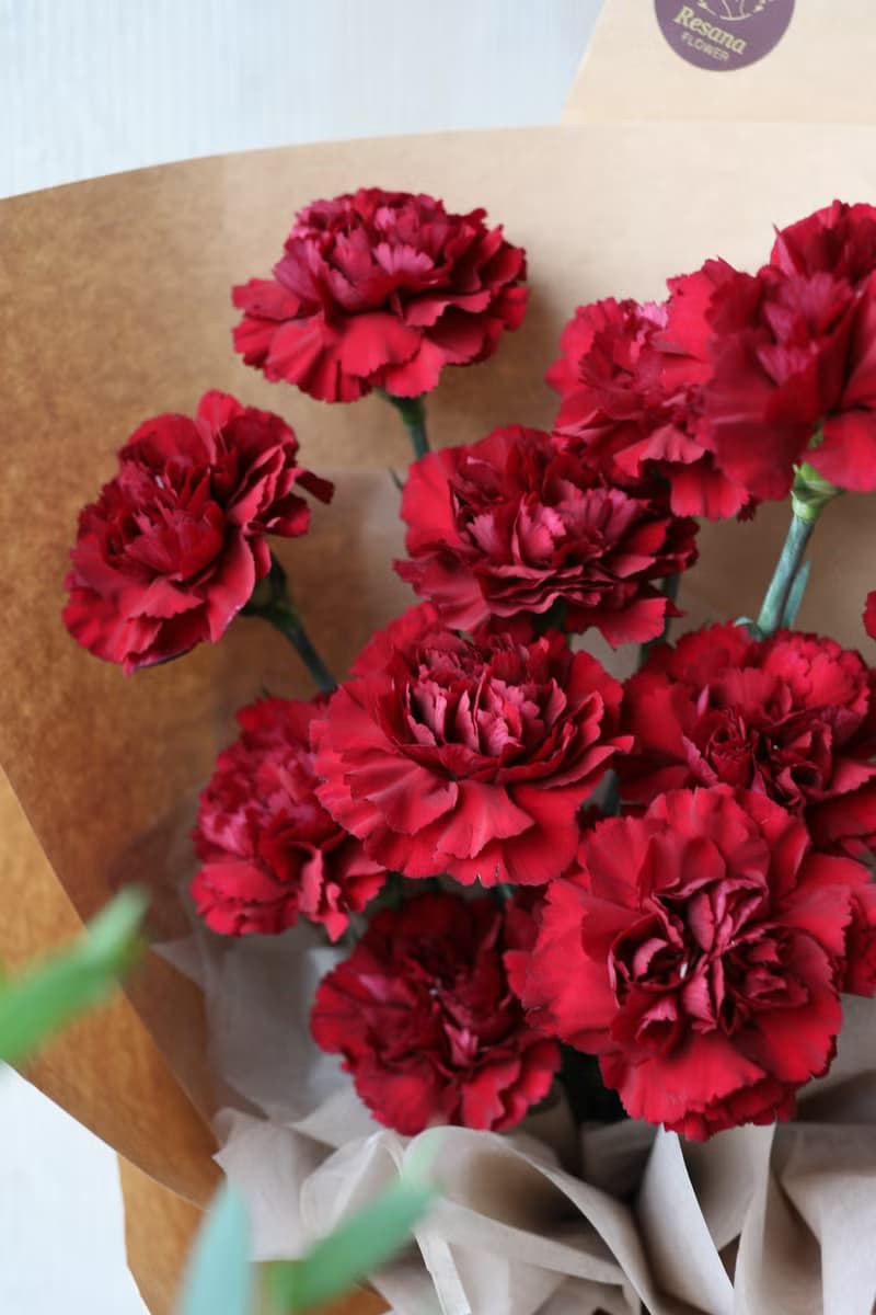 深紅康乃馨鮮花束 2025母親節