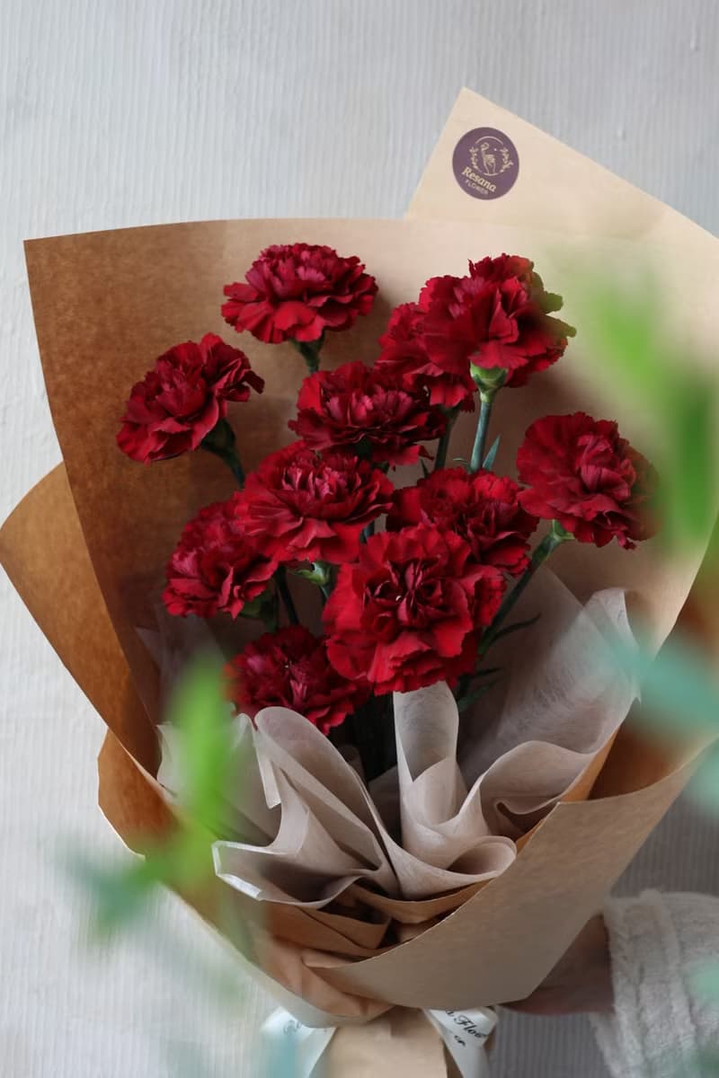 深紅康乃馨鮮花束 2025母親節